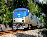 161 - Amtrak Silver Meteor